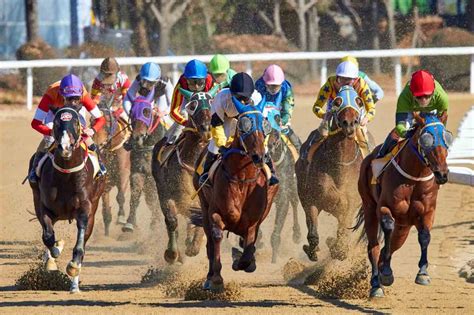 greyhoundbet,corrida de cavalo ao vivo